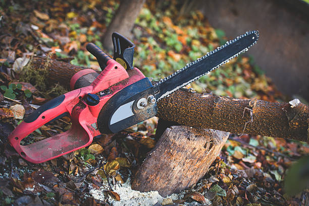 Best Soil Testing and Treatment  in Millsboro, DE